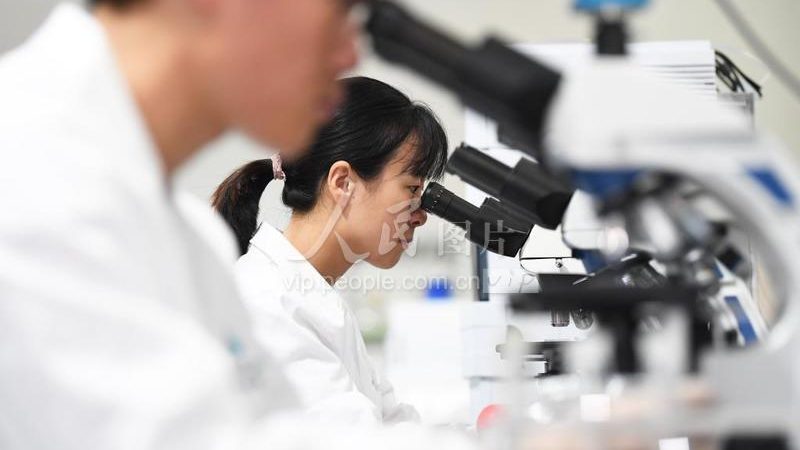 粉末DMEM培养基的配制：关键步骤与注意事项