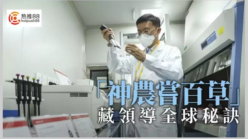 cro策略工具哪家强