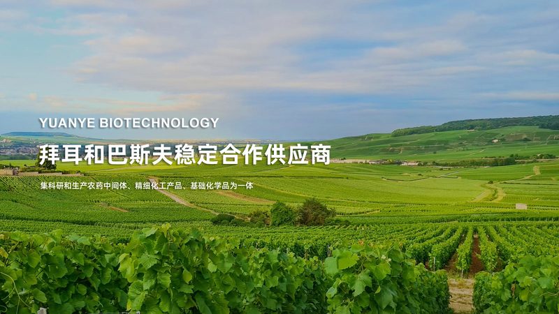 PCR检测加盟，揭秘背后的技术与应用