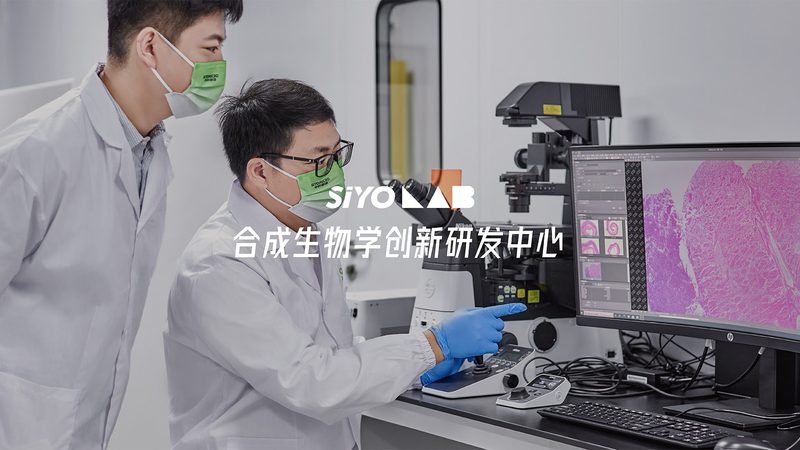 CHO细胞无血清培养基如何挑选？揭秘其背后的科学**