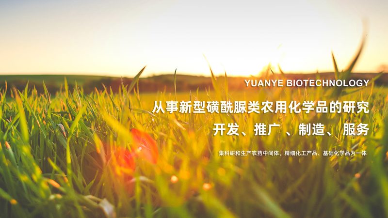 引物合成定制，生物医药研发的精准利器