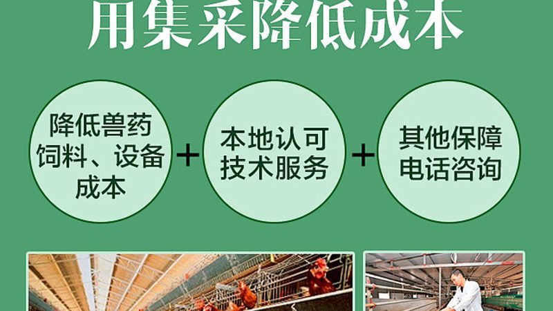 引物合成质量对比方法