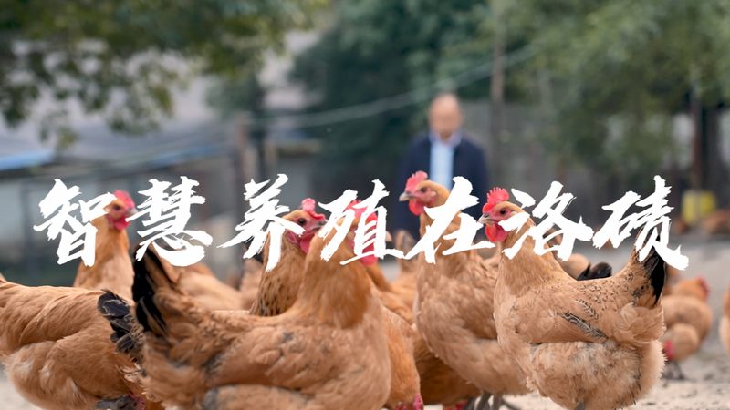 基因检测加盟，如何慧眼识珠？**