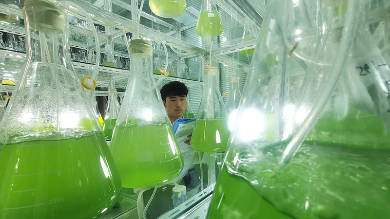 酶制剂国标落地一年，行业洗牌到了哪一步